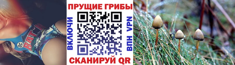 Псилоцибиновые грибы ЛСД Старая Русса
